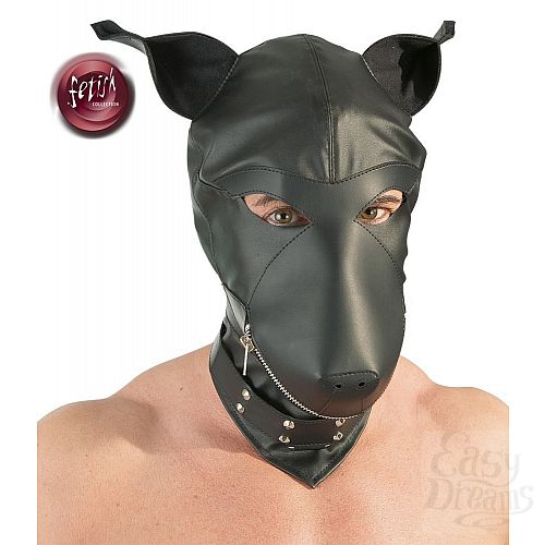  1:  - Dog Mask    