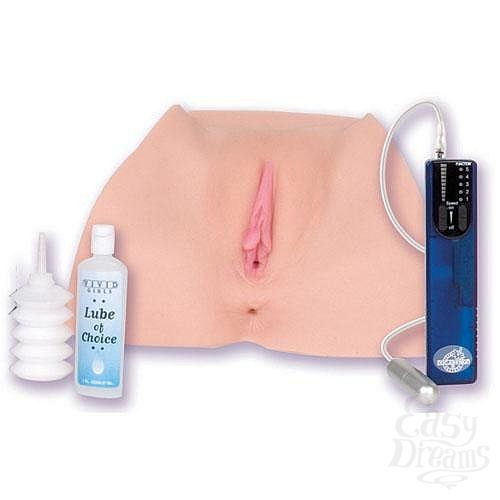 ���������� 1:  ������������ ������ Devon 