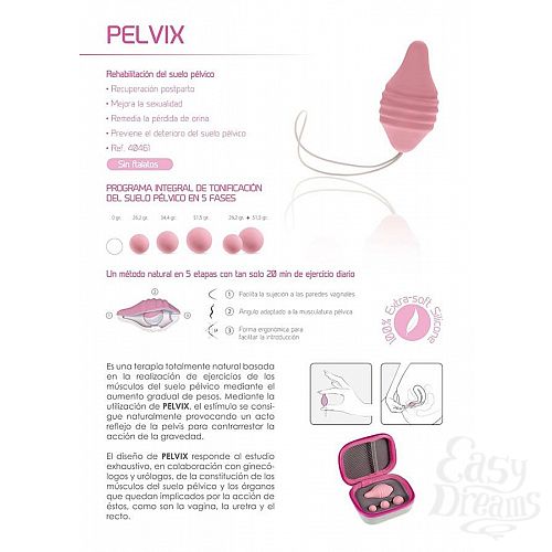  6      Pelvix Concept:   3   