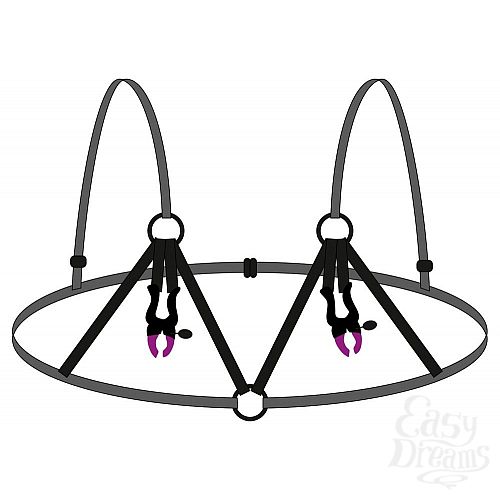  2        Bra with silicone nipple clamps