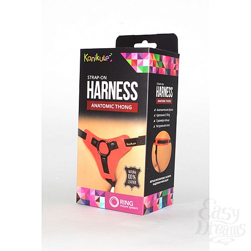  1: Kanikule  Kanikule Leather Strap-on Harness  Anatomic Thong 