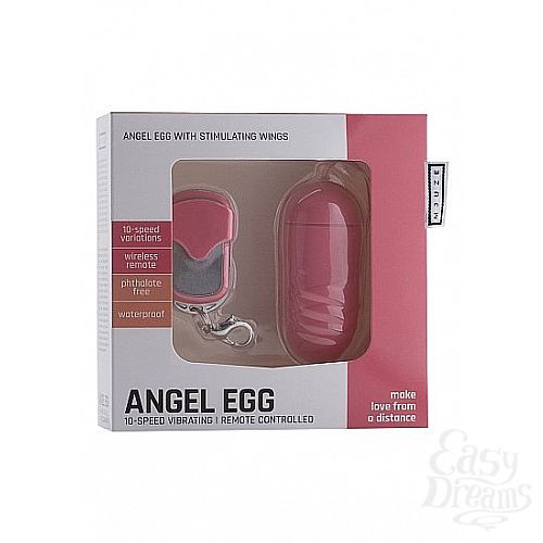  3    Angel Egg   