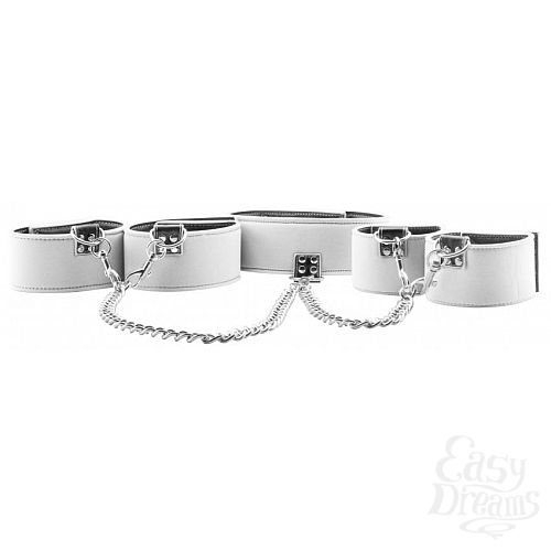  2  ׸-     Reversible Collar / Wrist / Ankle Cuffs