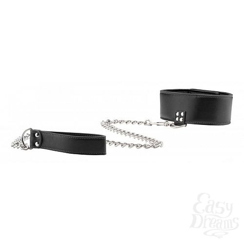  2  ׸     Reversible Collar with Leash