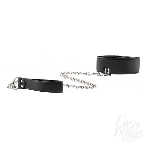  3  ׸     Reversible Collar with Leash