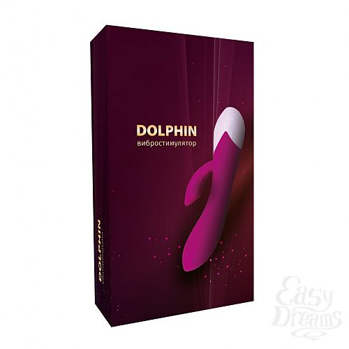  4    Dolphin    - 19,3 .