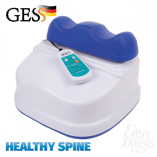  1: GESS    Healthy Spine GESS-080