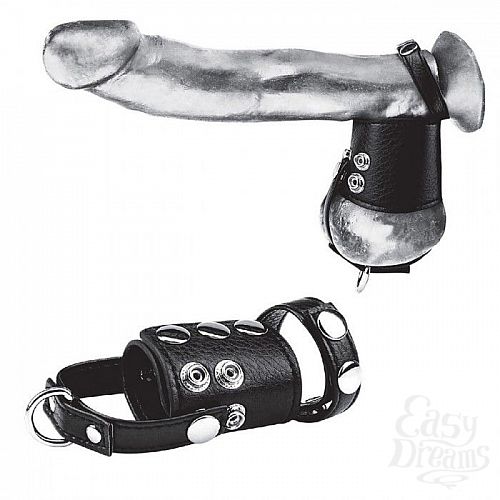  1:       Cock Ring With 2  Ball Stretcher And Optional Weight Ring