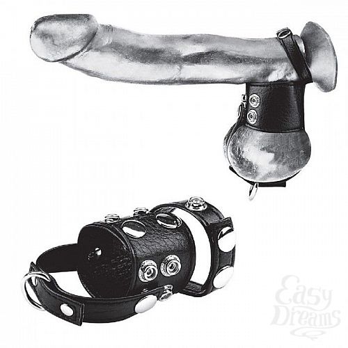  1:       Cock Ring With 1.5  Ball Stretcher And Optional Weight Ring