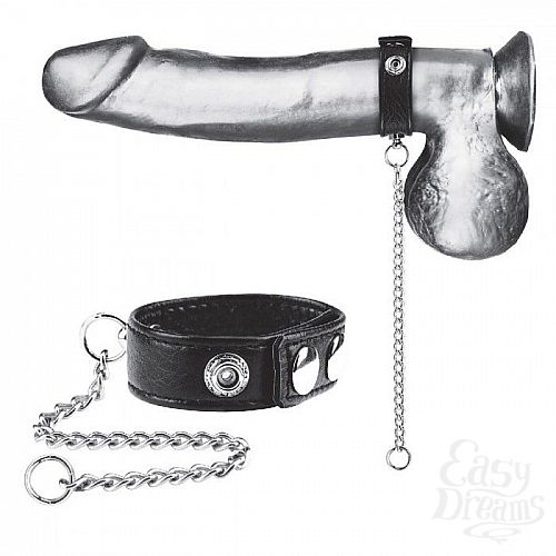  1:       Snap Cock Ring With 12  Leash