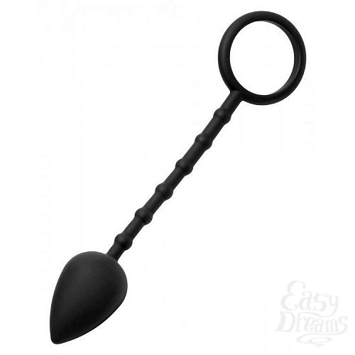  1:        Imbed Silicone Anal Plug and Cock Ring