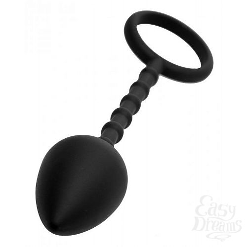  2        Imbed Silicone Anal Plug and Cock Ring