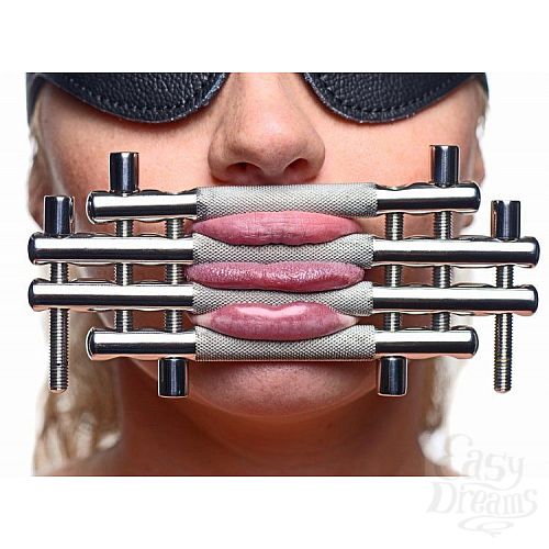  3       Stainless Steel Lips and Tongue Press