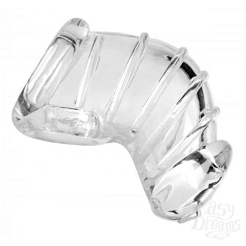  1:      Detained Soft Body Chastity Cage
