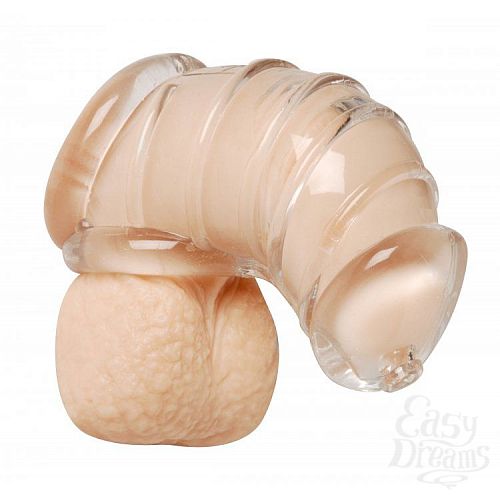  3      Detained Soft Body Chastity Cage