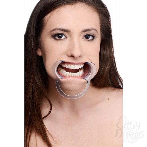  4    Cheek Retractor Dental Mouth Gag