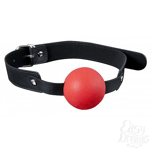  1:    -     Solid Silicone Ball Gag