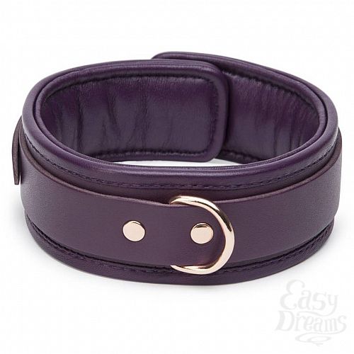  3 Fifty Shades of Grey  Fifty Shades Freed Cherished Collection - Leather Collar & Lead - Fifty Shades of Grey 