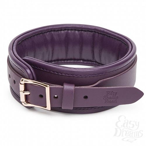  4 Fifty Shades of Grey  Fifty Shades Freed Cherished Collection - Leather Collar & Lead - Fifty Shades of Grey 