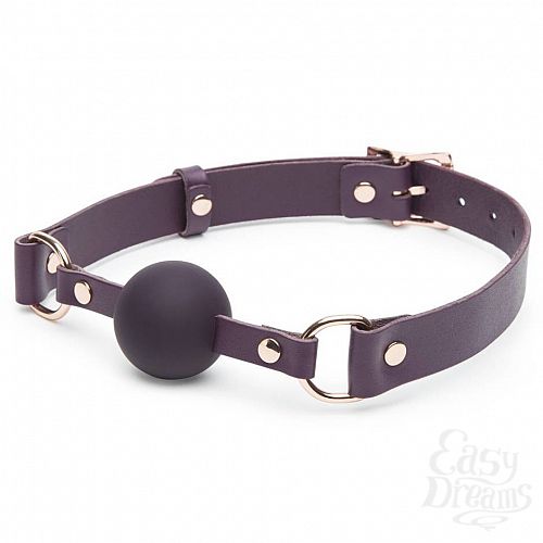  1: Fifty Shades of Grey  Fifty Shades Freed Cherished Collection - Leather Ball Gag - Fifty Shades of Grey 