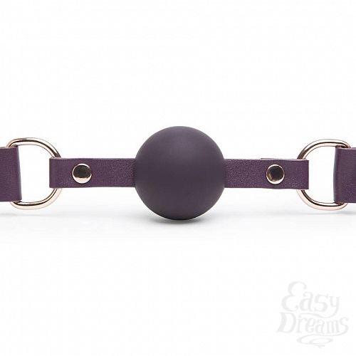  4 Fifty Shades of Grey  Fifty Shades Freed Cherished Collection - Leather Ball Gag - Fifty Shades of Grey 
