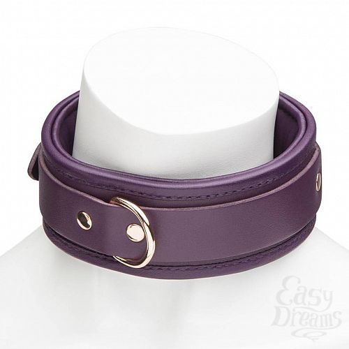  6     Cherished Collection Leather Collar and Lead