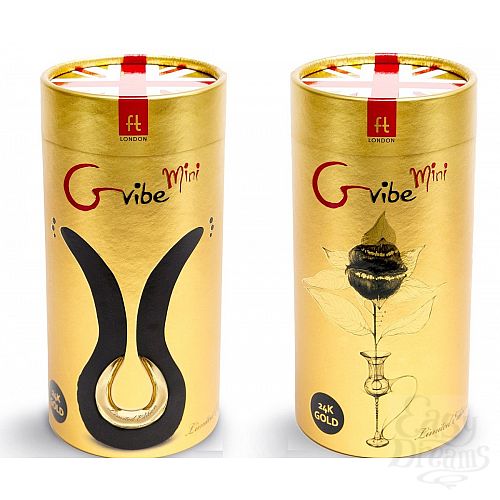  2  ׸ - Gvibe Mini Gold   