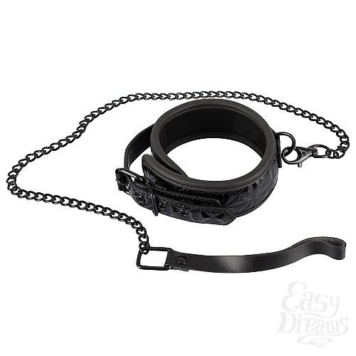 1:        Collar with Leash