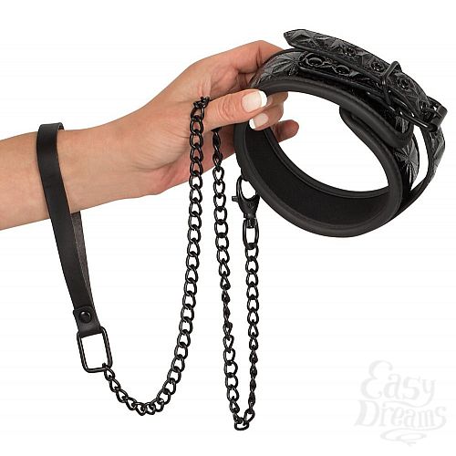  2        Collar with Leash