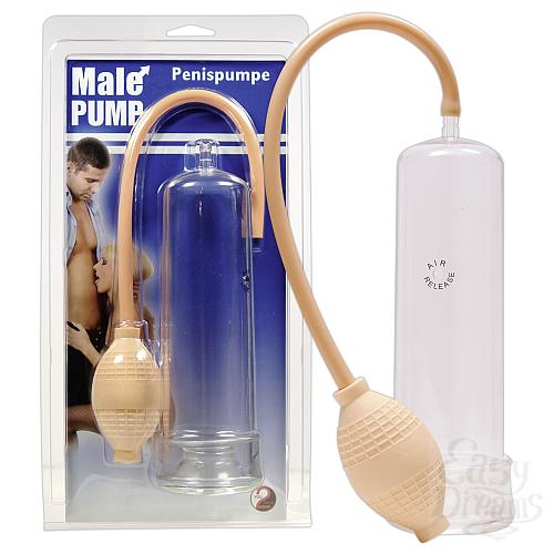  1:     Male Pump   