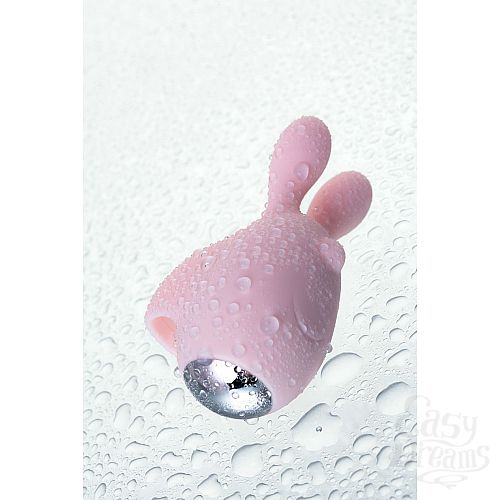 Фотография 21  Нежно-розовый набор VITA: вибропуля и вибронасадка на палец 