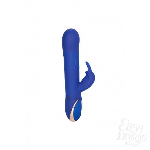  1: California Exotic Novelties -    G   Jack Rabbit  California Exotic Novelties, 22.5  