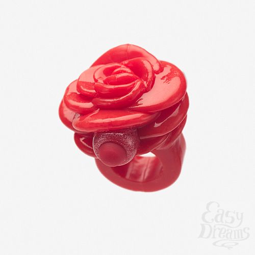  2   -     GOSSIP RING H25515-10001