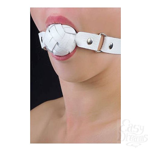 ���������� 1:  ���� �����