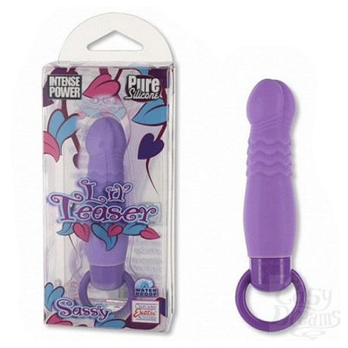  1: California Exotic Novelties  LIL TEASER SASSY MASSAGER PURPLE