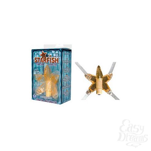  1:    Li l StarFish Orange 0617-02BXDJ