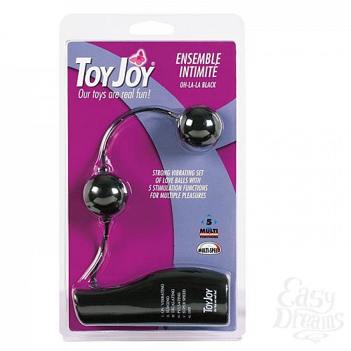  2 Toy Joy,      ENSEMBLE INTIMITE BLACK 9250TJ