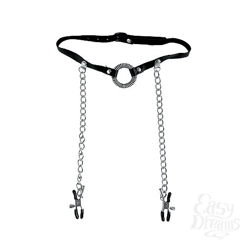  2 PipeDream       -   O Ring Ball Gag & Nipple Clamps