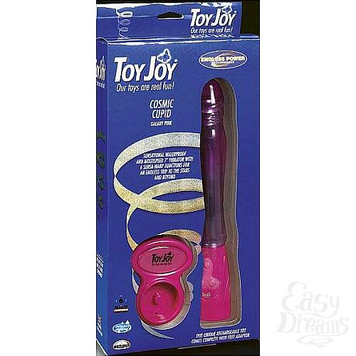  1: Toy Joy     