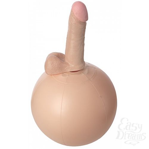 ���������� 1:  �������� ��� � �������� HARNESS 6in 