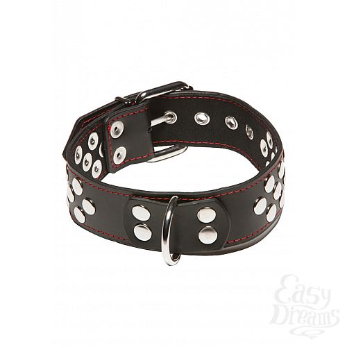  2 X-PLAY,     X-PLAY COLLAR WITH D-RING 2078XP