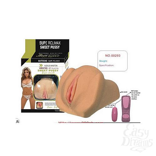 ���������� 1:  �����������-������ � ����������