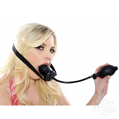 ���������� 1:  �������� ����, ������