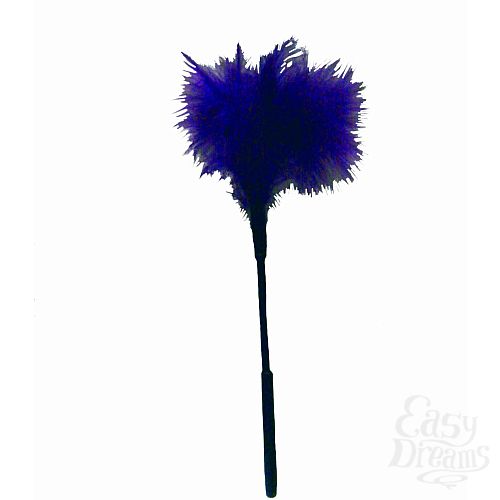  2 Sexandmischief  Feather Tickler, 