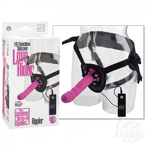 ���������� 1:  ������� � ������� ����������� ���������� RIPPLER