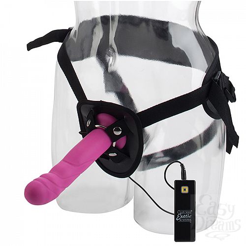 ���������� 2  ������� � ������� ����������� ���������� RIPPLER