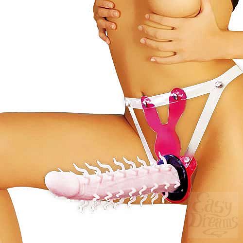 ���������� 1:  ������� ������� �� ��������