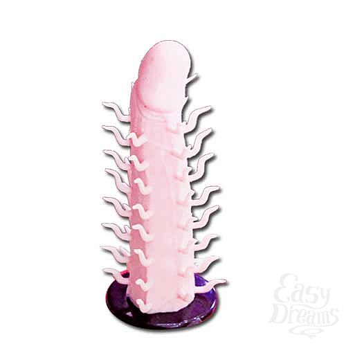 ���������� 2  ������� ������� �� ��������