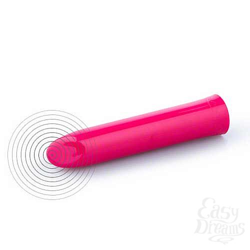  2  WE-VIBE Tango Pink  USB rechargeable 