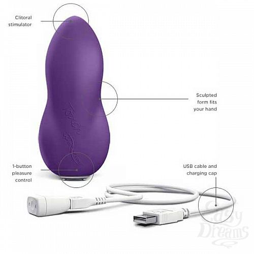  2  WE-VIBE Touch Purple  USB rechargeable  
